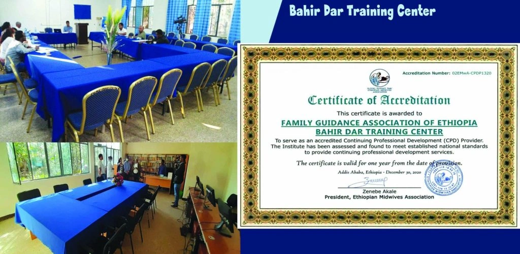 Bahir-D-Training